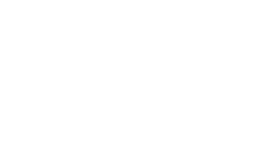 IDIOSOFT